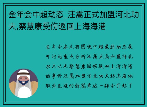 金年会中超动态_汪嵩正式加盟河北功夫,蔡慧康受伤返回上海海港